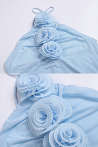 Sky Bloom Mesh LongDress