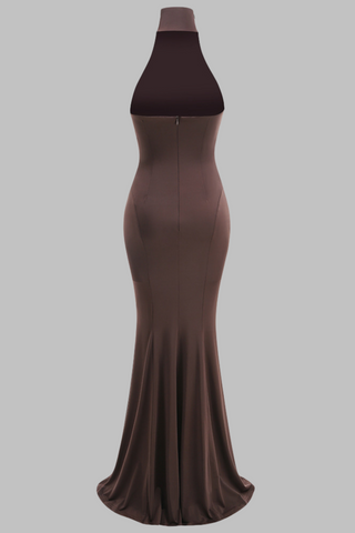 Brown Halter Neck Sleeveless Long Dress with High Neck and Mermaid Silhouette