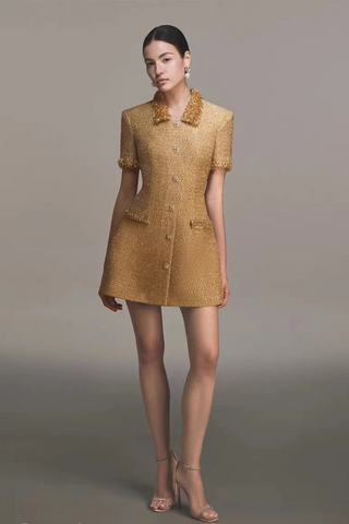 Gold Sequin Tweed Mini Dress with Beaded Fringe and Embellished Buttons
