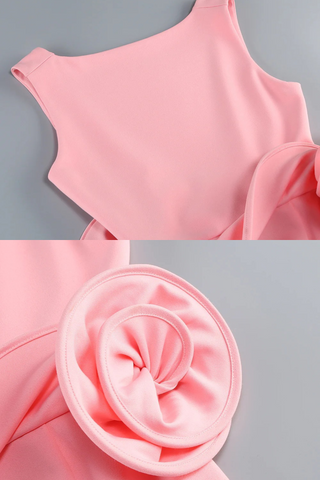 Sleeveless Backless Sculpted Flower Detail Mini Dress