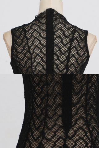 Sheer Lace High Neck Maxi Dress – Sleeveless, Flowy Silhouette