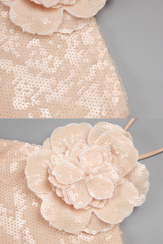 Bloom Sequin Halter neck backless long dress