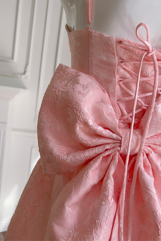 Pink Embroidered Lace Mini Dress with Back Bow & Corset Detailing