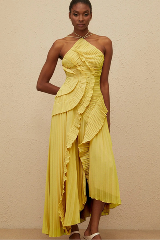 Halter Neck Pleated Ruffle Long Dress