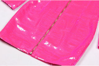 Long Sleeve Shiny Glow Sequin Mini Dress