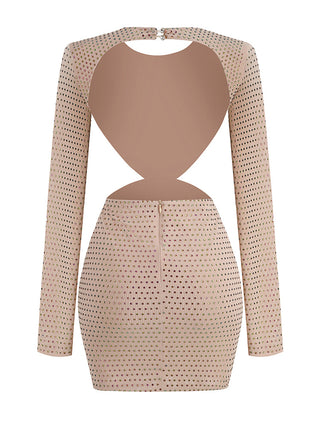 Apricot  Sequin Flower Backless Mini Dress