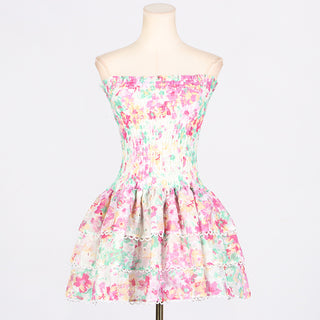 Strapless Embroidered Floral Mini Dress