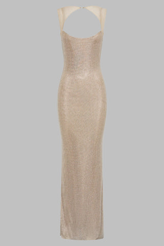 Sleeveless Rhinestone Mesh Bodycon long Dress with Open Back