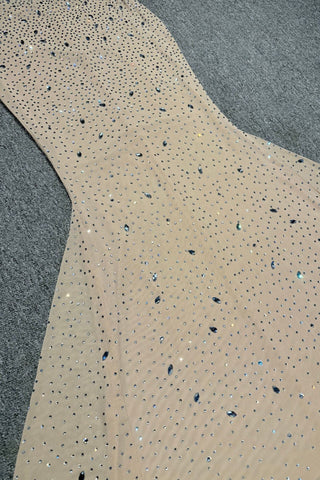 Crystal Embellished Backless Evening Mesh Long Dress