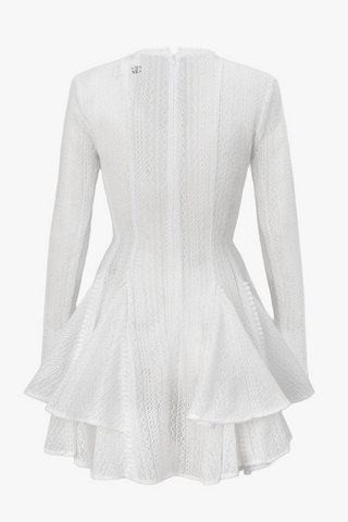 Elegant Lace Mesh Long Sleeve Layered Mini Dress