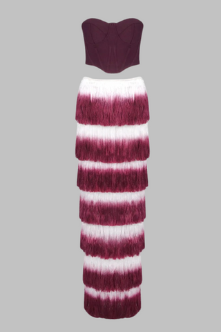 Wine Red Corset Spandex Top &  Tassel Long Skirt Set