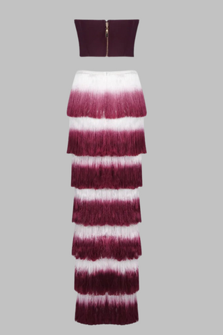 Wine Red Corset Spandex Top &  Tassel Long Skirt Set