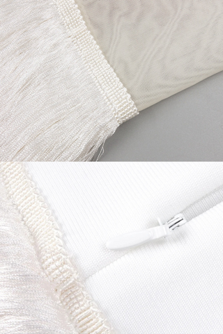 Wine Red Corset Spandex Top &  Tassel Long Skirt Set