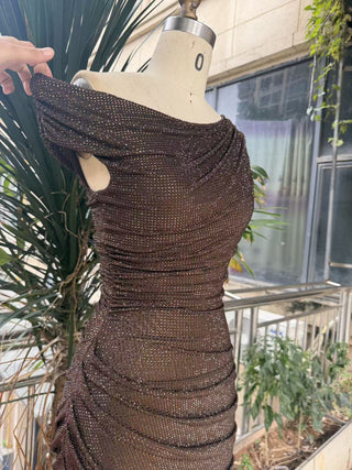 One-Shoulder Shimmer Mesh Long Evening Dress