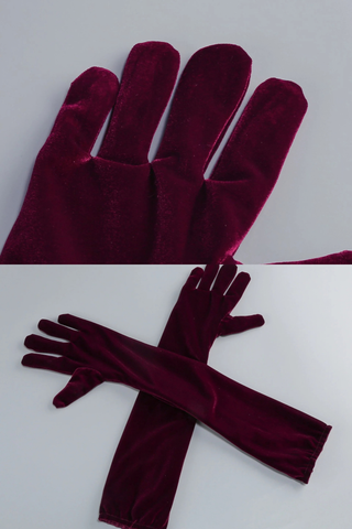 Strapless Velvet Corset long Dress & Long Gloves Set