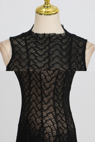 Sheer Lace High Neck Maxi Dress – Sleeveless, Flowy Silhouette