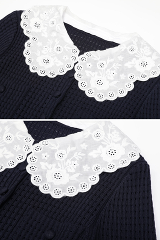 Elegant Long Sleeve Lace Collar Knit Mini Dress – Vintage Inspired Button Front