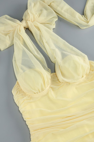 Halter Neck Yellow Mesh Long Dress with Side Slit