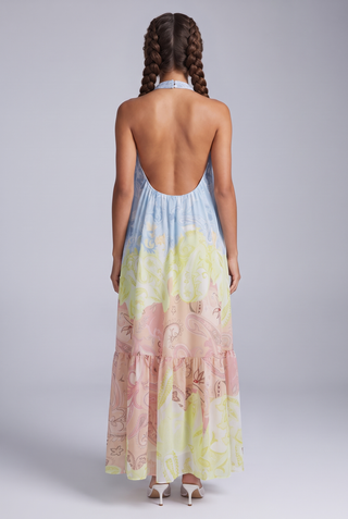 Paisley Print Halter Neck Backless Long Dress