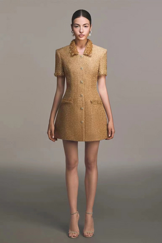 Gold Sequin Tweed Mini Dress with Beaded Fringe and Embellished Buttons