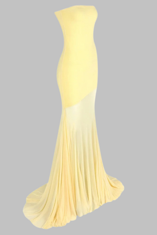 Strapless Sheer Panel Long Dress