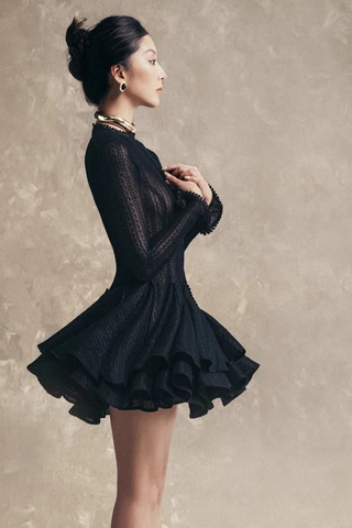 Elegant Lace Mesh Long Sleeve Layered Mini Dress