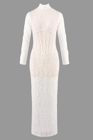 Long Sleeve High-Neck Lace Maxi Dress with Sheer Corset Design
