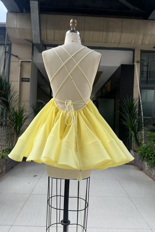 Backless Crisscross V-Neck Flared Mini Dress