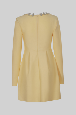 Diamond Elegance Long Sleeve Mini Dress