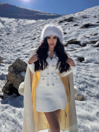 Elegant Long Sleeve Wool Knit Mini Dress