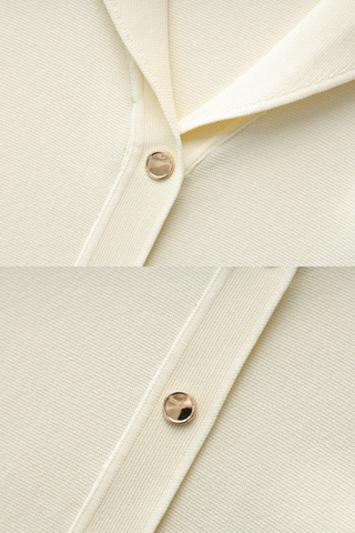 Button-Front Long Sleeve Knit Dress with Pleated Skirt