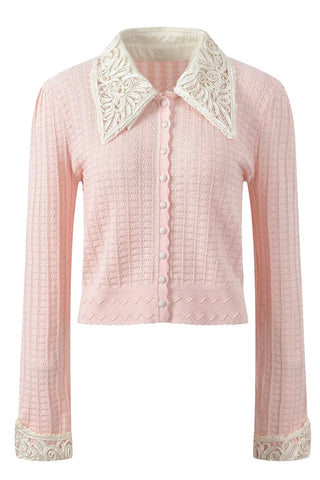Embroidered Collar Long Sleeve Pointelle Knit Cardigan