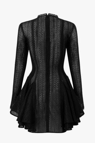 Elegant Lace Mesh Long Sleeve Layered Mini Dress