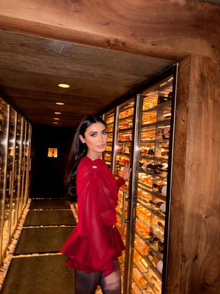 Elegant Long-Sleeve Oblique Shoulder Sheer Top and Skort Set