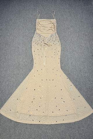Crystal Embellished Backless Evening Mesh Long Dress