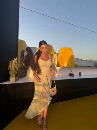 Elegant Sleeveless Long Mesh Dress with Ruffled Details