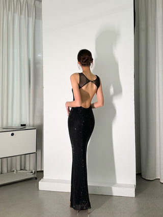 Sleeveless Rhinestone Mesh Bodycon long Dress with Open Back