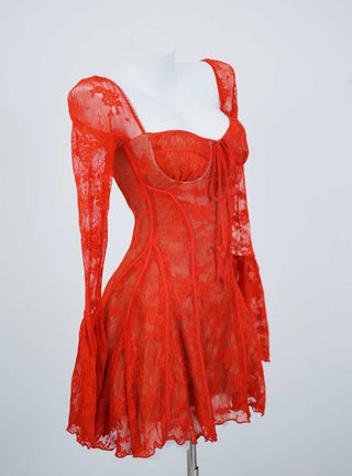 Flare Sleeve Mesh Mini Dress