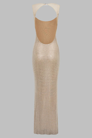 Sleeveless Rhinestone Mesh Bodycon long Dress with Open Back