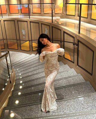 Elegant Long Sleeve Mesh Long Dress