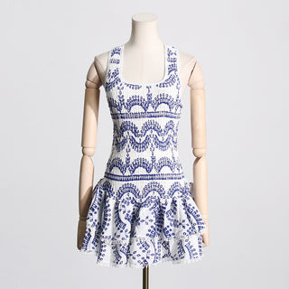 Ruffled Embroidered Sleeveless Mini Dress