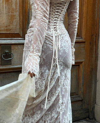 Elegant Long Sleeve Mesh Long Dress